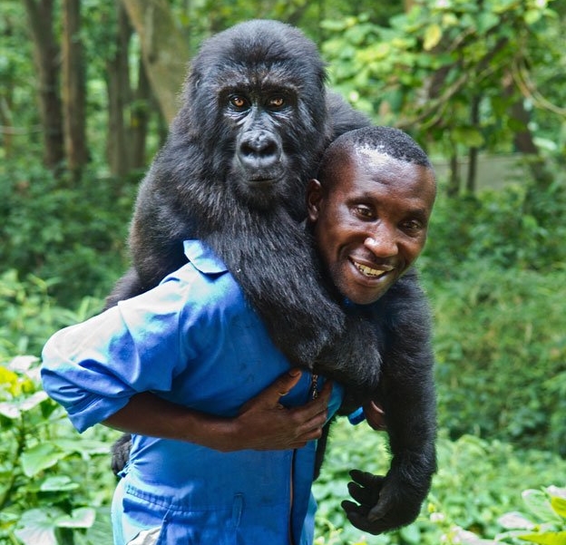 virunga