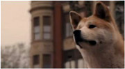 Hachiko: A Dog's Story/2009/Lasse Hallström