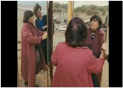 Les plages d'Agnès/2008/Agnès Varda